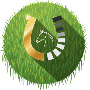 Wetten beim Pferderennen