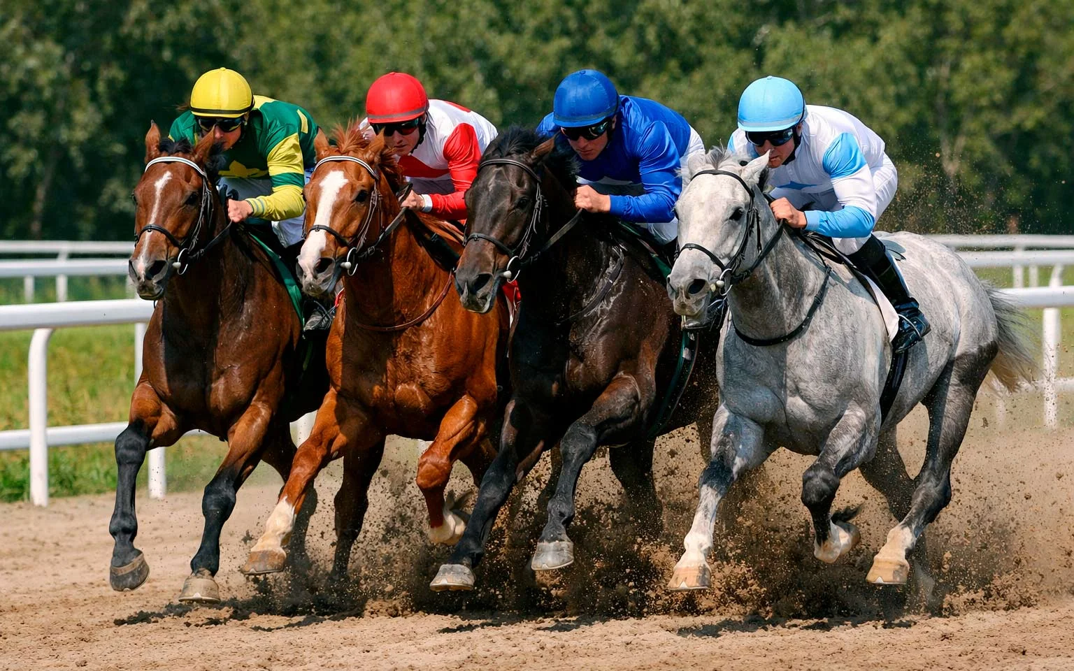 Vier Pferde im engen Zieleinlauf auf Sandbahn